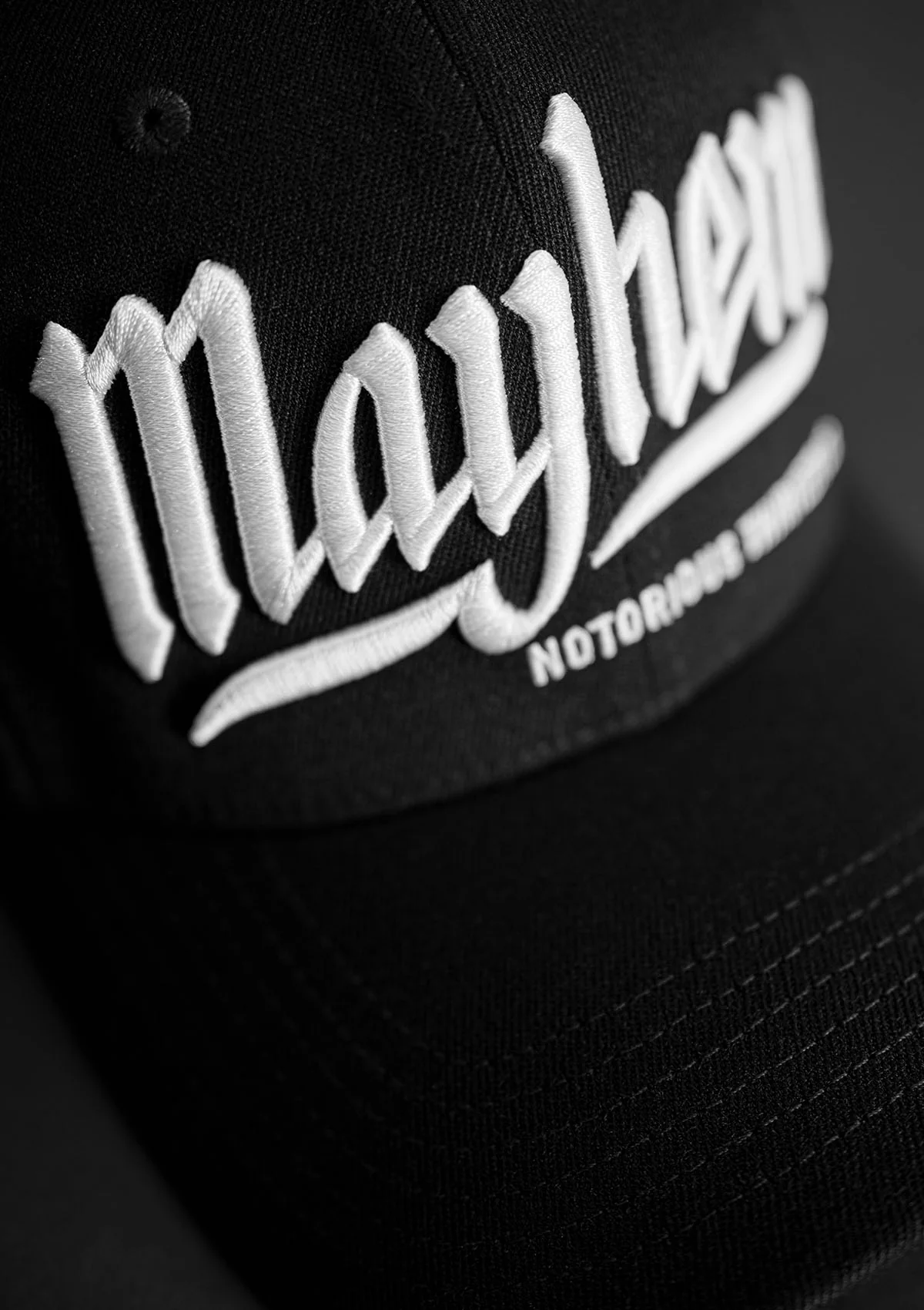 Flex Cap Notorious S/W - Image 4