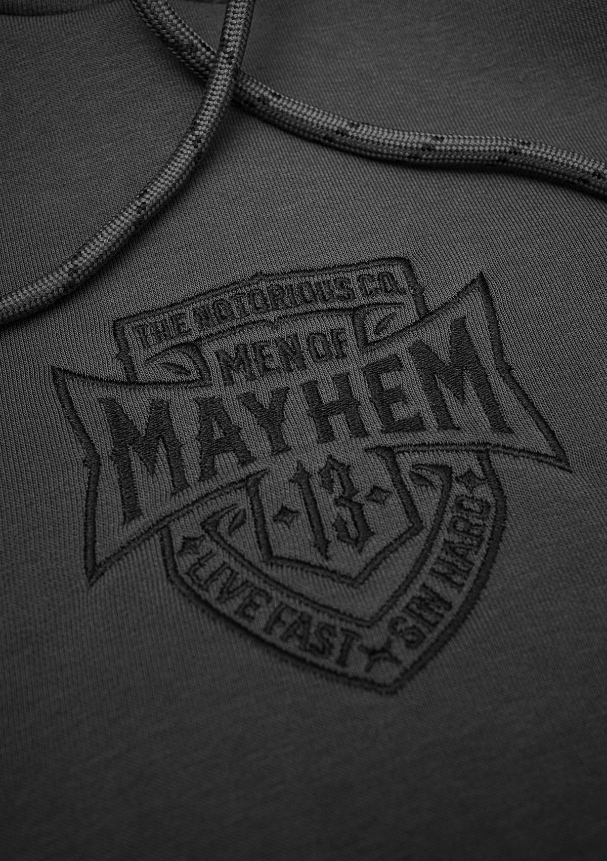 Hoodie COA G/S - Image 4