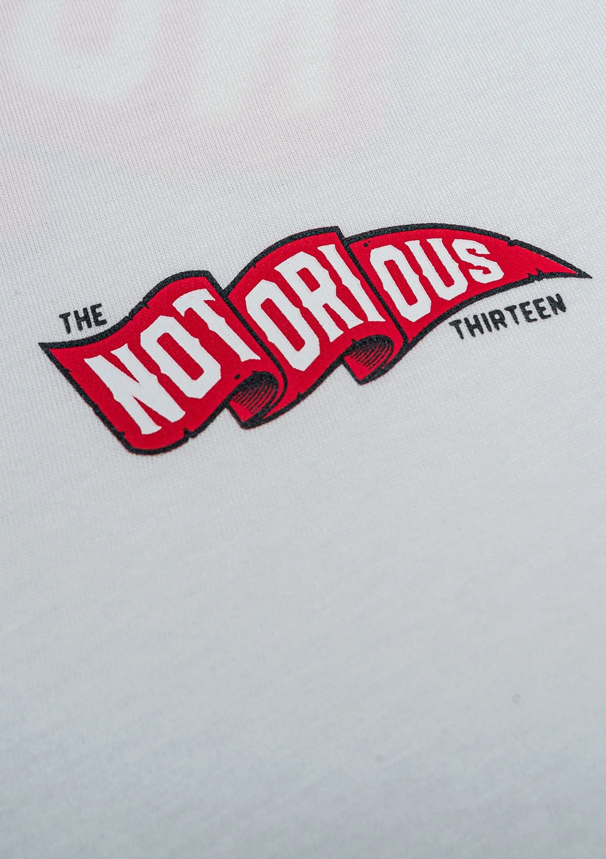 T-Shirt TNT FLAG OW/R/W - Image 3